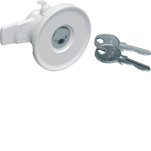 FZ597N - Замок з 2 ключами для металевих щитів IP44 Univers (замок№1242E)